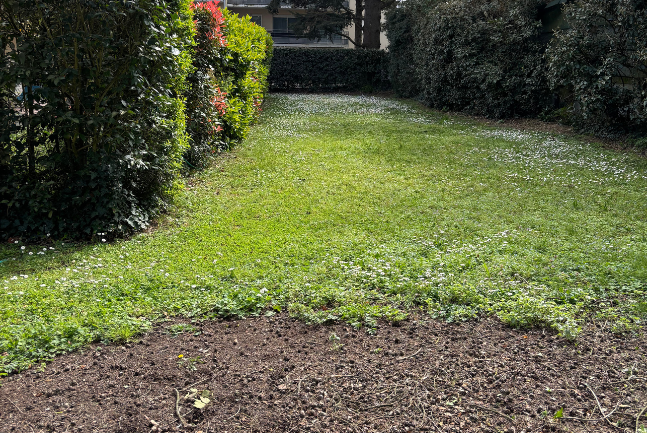 Entretien d’espaces verts à Bruges